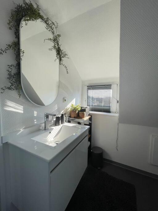Gemuetliche, Helle Wohnung In 파더본 외부 사진